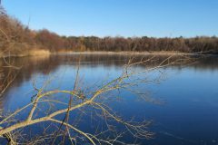 20210213_150124-scaled